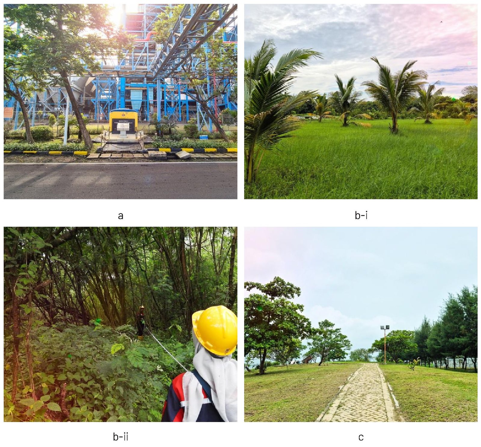 Gambar 20. Kondisi ekosistem di masing-masing zona, a) kondisi taman di zona inti, b-i) Area penanaman di zona pemanfaatan, b-ii) kondisi di dalam vegetasi lamtoro zona pemanfaatan, dan c) kondisi taman teletubies di zona penyangga.
